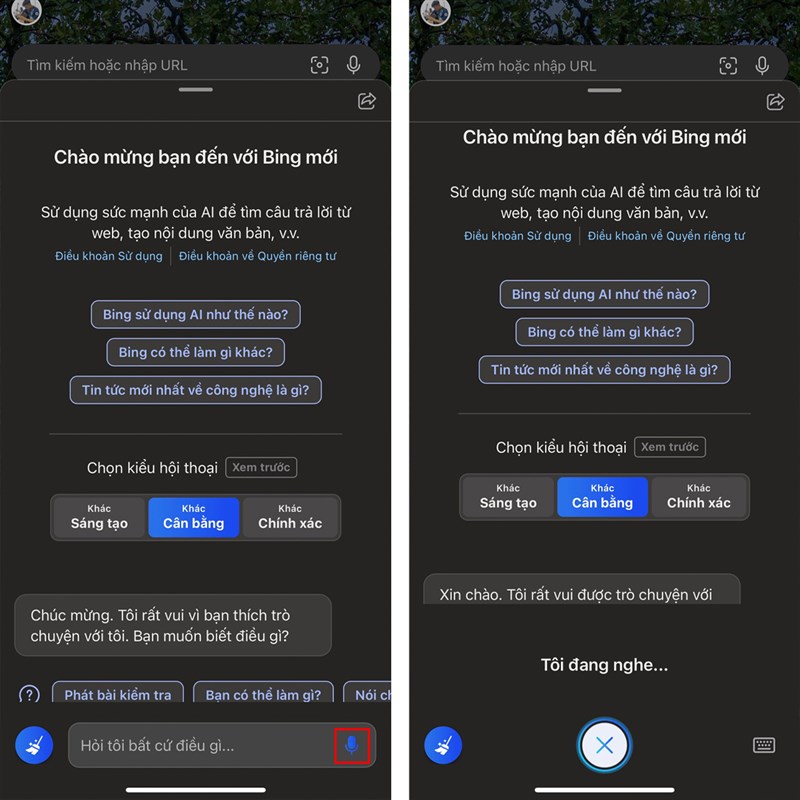 Cách sử dụng Bing AI trên iPhone b3