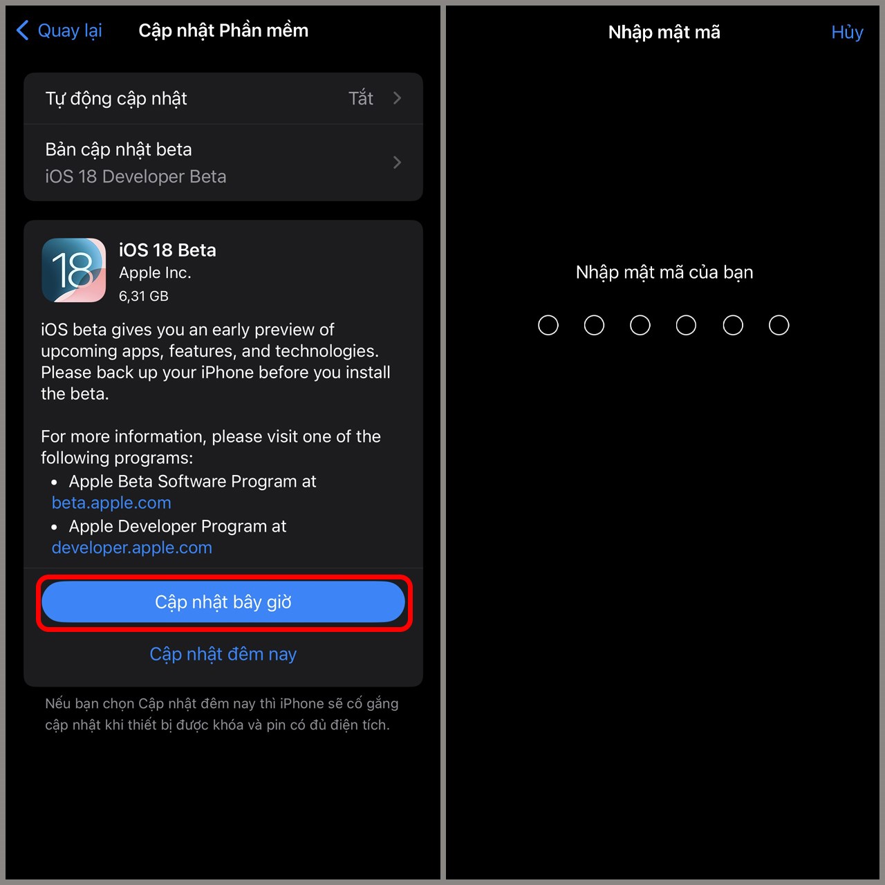 Nhập mật mã để bắt đầu tải về và cài đặt iOS 18 Beta 1 nhé