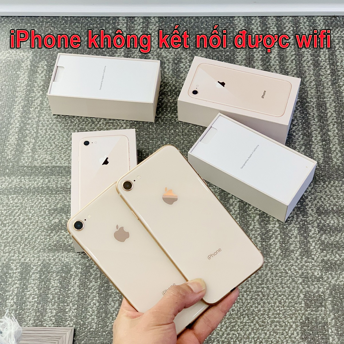 lỗi iPhone không kết nối được wifi