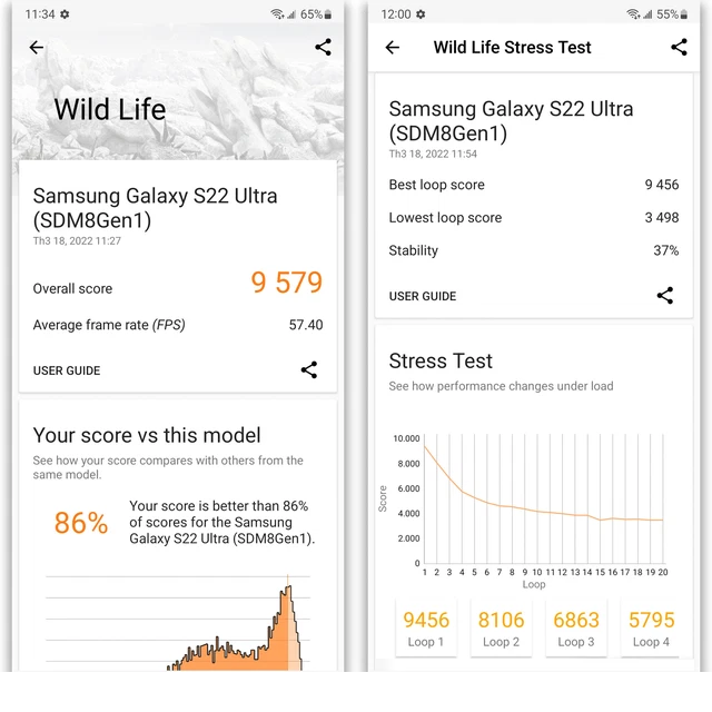 Galaxy S22 Ultra đạt được 9579 điểm trong thử nghiệm Wild Life của 3DMark, độ ổn định 37%.
