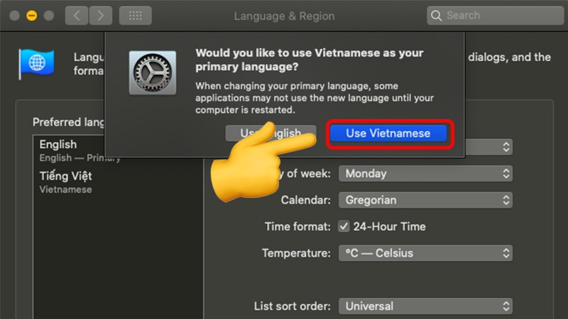 Use Vietnamese
